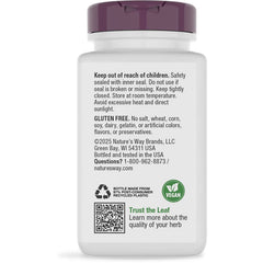 Echinacea Astragalus & Reishi
