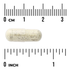 Celery Seed Extract - Maximum Strength